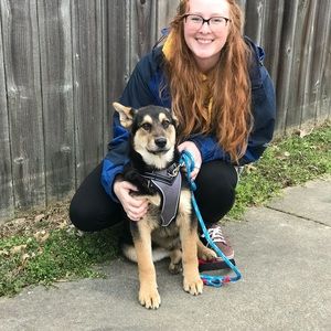 Meet your Posher, Brittany